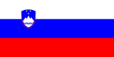 Slovenia national team flag