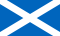 Scotland national team flag