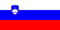 Slovenia national football team flag